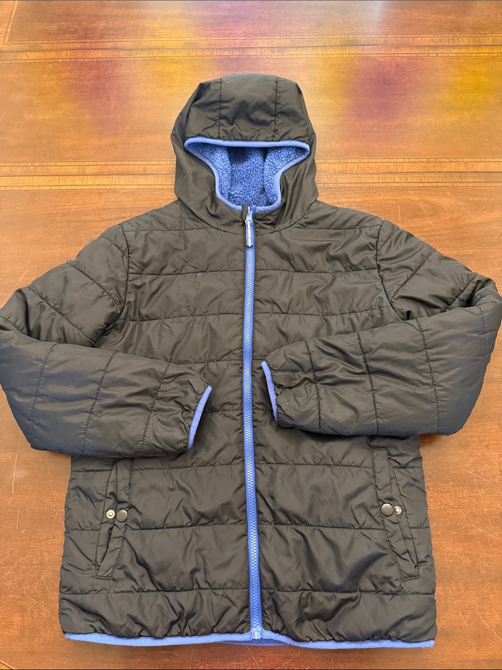 Cat & Jack Black Puffer Jacket with Blue Trim and Hood Lining